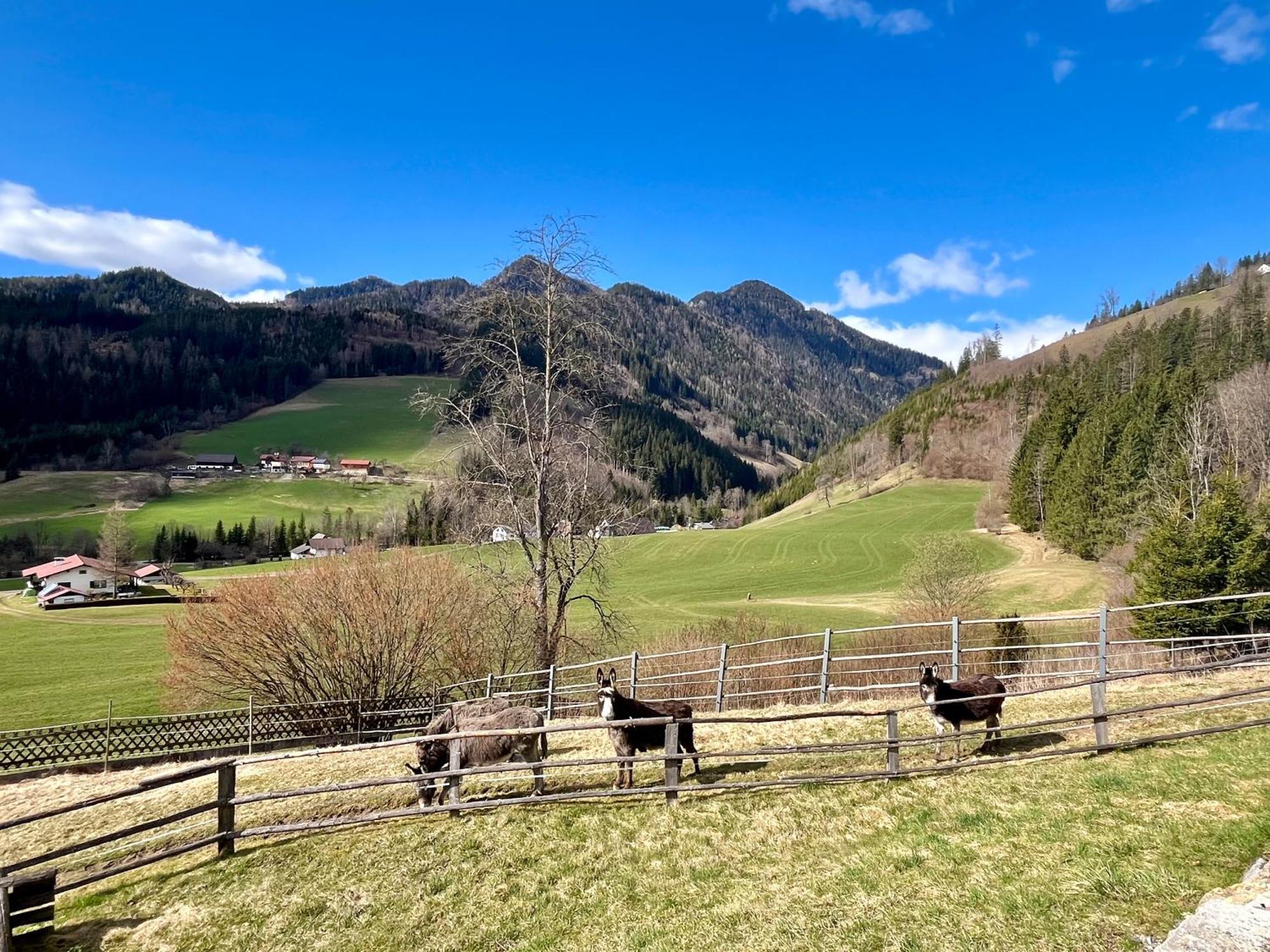Am Hofacker * Aflenz Kurort